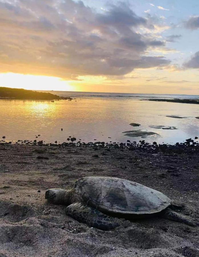 Alii Villas Condominiums Kailua-Kona Zewnętrze zdjęcie